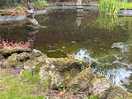 Japanese garden onsite
