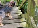 Lovely walks