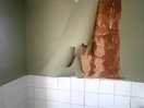 Toilet block tiered