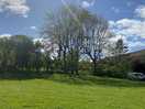 Field