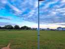The grass pitch area