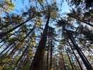 Taken on the nature trail that’s within 5-10 min walk of the campsite