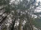 Above our heads