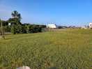 Across the site