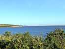 East fleet