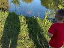 The lake