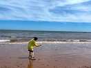 The beach when the tide is out