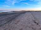 Estuary view