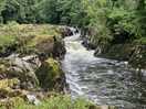 The falls