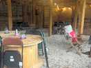 Inside the bar