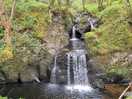 Woodland falls