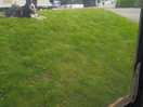 The steep bank right outside the awning