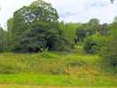 Camping field, win hill view