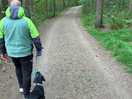 Dog walk