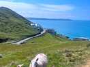 Wildlife at morte point