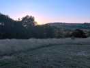 Great evening