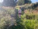Exploring the pathways