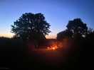 Evening fire