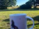Morning coffee with horses