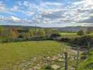 Site views