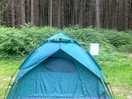 My little tent set up on a grass pitch with electric hook up.