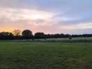 Lovely sunsets looking out into nearby field