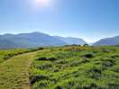 Yr wyddfa