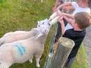 Feeding time