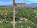 Walk to filey