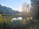Lakeside walk