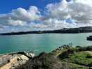 Newquay harbour