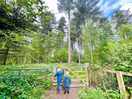 Walk