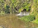 Beautiful chalk stream