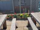 Beer garden spot on