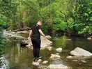 Stepping stones