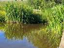 Beautiful loch for fishing and boating
