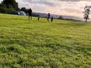 Field