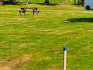 Campsite view