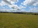 The field
