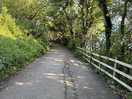 Lane to cei bach beach