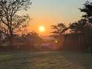 Beautiful sunsets