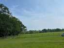View from caravan