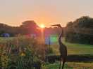 Dawn sunburst - awesome