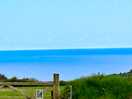 The view