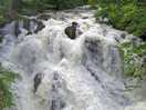 Swallow falls