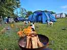 Decent size fire pit with generous amounts of logs