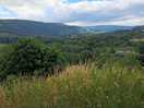 Nice view