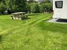 Nicely cut grass surrounding our pitch