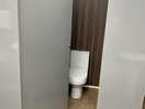 Women’s toilets