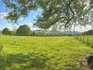 View from the site